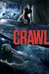 Crawl