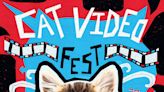 CatVideoFest is 75 minutes of cute, clever, clumsy cats culled from internet reels