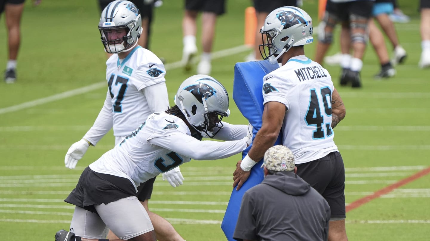 Carolina Panthers' Special Training Camp Practice Drew Sad Amount of Fans