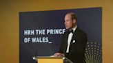 Harry, William separately praise Diana’s legacy for charity’s 25th anniversary