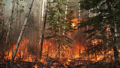 Wildfire prompts MEG Energy to evacuate northern Alberta oilsands site