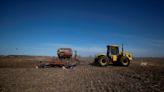 Exclusive-Argentina set to permit wheat export delays amid drought - sources
