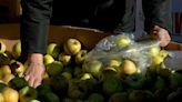 Food insecurity increases over the summer months in El Paso - KVIA