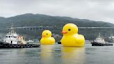 Hong Kong’s giant rubber duck returns — with a friend — after 10 years