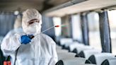 中國又爆新病毒「瑯琊」 動物傳人35例可誘發致死性疾病