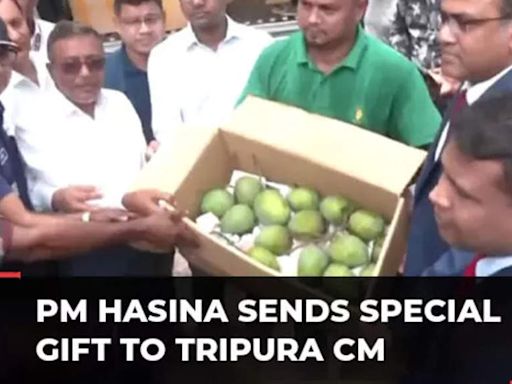 Bangladesh PM Sheikh Hasina gifts 400 kg Harivanga Mangoes, 50 kg Hilsa Fish, 50 kg Rosogollas to Tripura CM Manik Saha