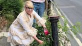 Eco-madness left our roads paved with weeds, say furious residents