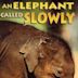 An Elephant Called Slowly