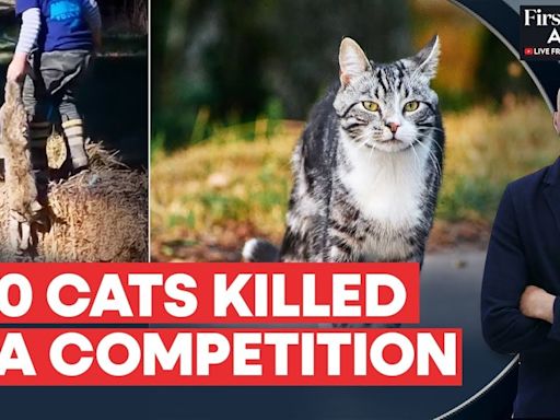 New Zealand Organises Annual Competition To Kill Cats |