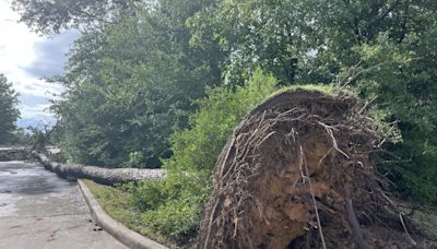 The Woodlands Township approves $2M for debris removal after Beryl