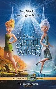 Secret of the Wings