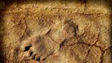 Archaeologists Found 23,000-Year-Old Footprints That Rewrite the Story of Humans in America