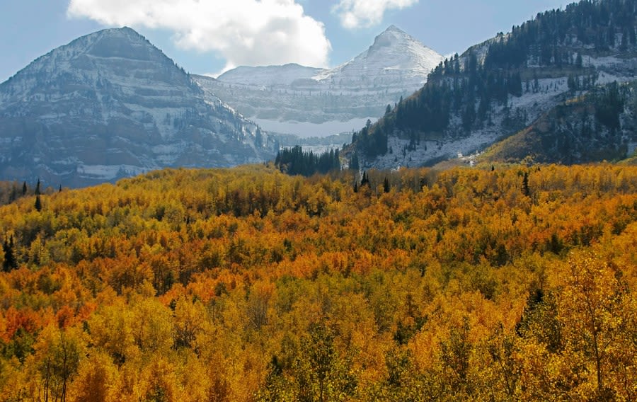 When will Utah’s leaves change color for the 2024 fall season?