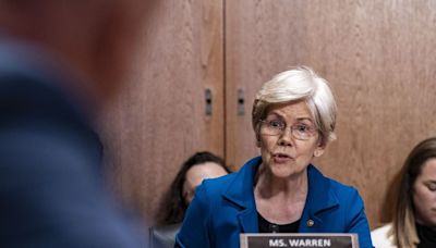 Elizabeth Warren Defends Embattled FDIC Chairman