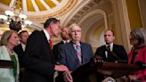 "You OK, Mitch?": McConnell freezes up during news conference, causing concern for his health