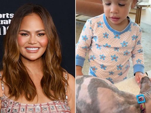 Chrissy Teigen Reveals Her Family Welcomed a Cat