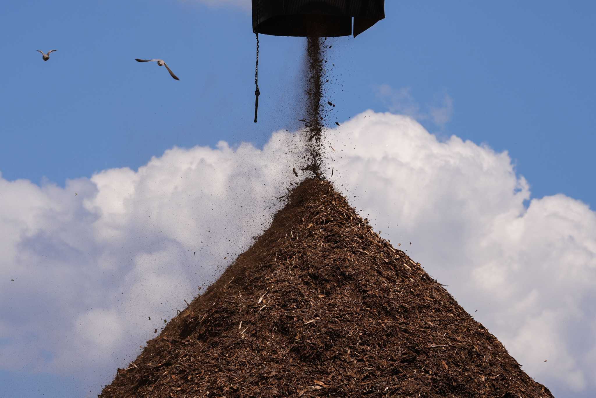 Wood pellets production boomed to feed EU demand. It's come at a cost for Black people in the South