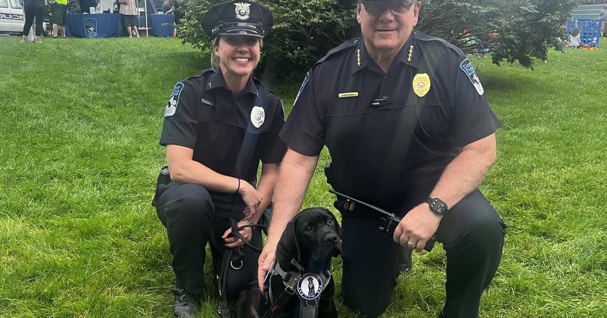 Derry’s comfort dog gets a warm welcome at National Night Out