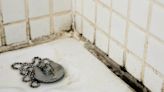 Solved! What to Do About Black Mold in the Bathroom