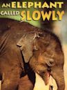 An Elephant Called Slowly