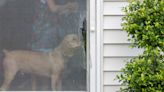 How to Repair a Screen Door