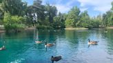 Why is the McKinley Park duck pond a bright turquoise? Your Sacramento question, answered