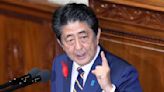 降半旗悼安倍 張亞中：民進黨可降黨旗49天 劉仕傑駁：符合外交禮儀