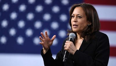 Who could challenge Harris for Democratic nomination?