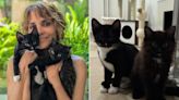 Halle Berry Is a Catwoman Again! Meet the Oscar Winner's Two New Rescue Kittens