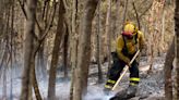 Más de 900 profesionales, helicópteros, drones y cabras para luchar contra los incendios de Tenerife y Gran Canaria este verano