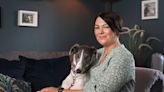 The pain of losing a pet: ‘It was unbearable grief and anxiety. I’d get through the day and get home and just collapse’