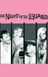 The Night of the Iguana (film)