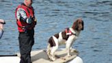Hero dog awarded 'animal OBE' after becoming Scotland's first underwater sniffer dog