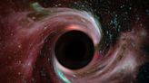 Einstein was right about the way matter plunges into black holes