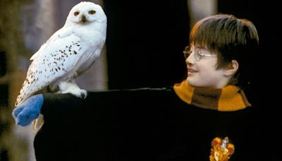 New Harry Potter Audiobook Series in the Works With 100-Plus Actors