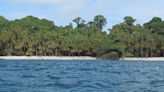 Los parques naturales de Colombia: destinos ideales para las vacaciones