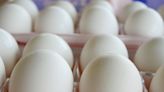 Are eggs good for you? Egg yolks vs. egg whites and how much protein is in your eggs?