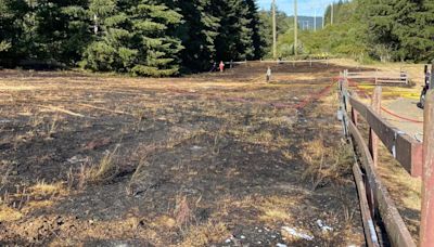 4 fire halls quickly douse fast-moving grass fire in Otter Point