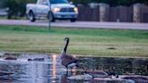 Threat of large hail, possible tornadoes return to Dallas-Fort Worth. Here’s what to know.