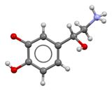 Norepinephrine