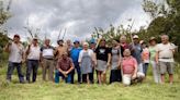 Faena y comida en La Barraca: así fue la fiesta de la hierba en el pequeño pueblo salense