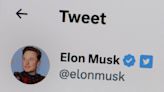 Elon Musk spent the last 24 hours spreading increasingly unhinged anti-trans content