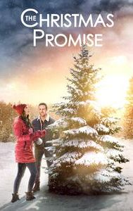 The Christmas Promise