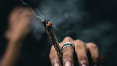 Uso de maconha foi liberado no Brasil? Não é bem assim