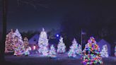 Rome Township couple gets into the holiday spirit with 77 lighted trees