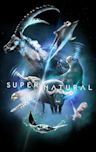 Super/Natural