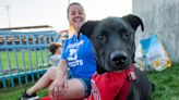 Cobalt, Raisin, Scooter: A few 4-legged dogs who enjoyed Woof Woof Wednesday at Polar Park