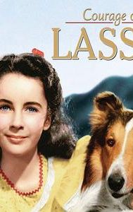 Courage of Lassie