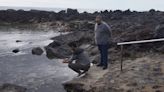 Haría analiza la calidad del agua en el municipio del norte de Lanzarote