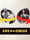 Life Is a Circus